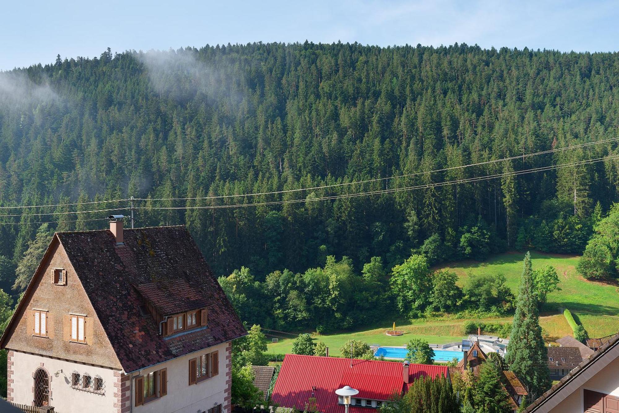 Haus Erika Ferienwohnung 1 Bad Teinach-Zavelstein Exterior foto